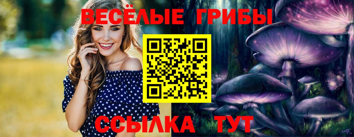 Псилоцибиновые грибы ЛСД  Вход с VPN  даркнет сайт  Армавир 