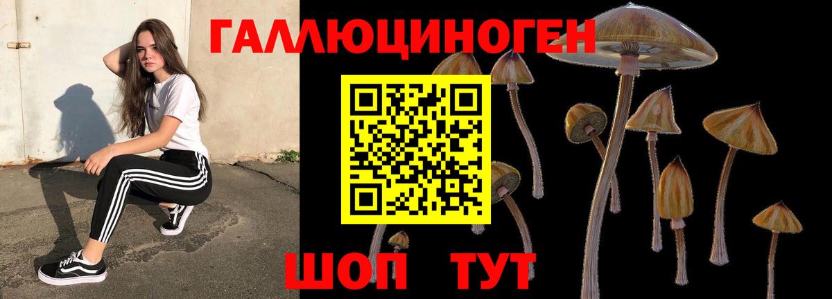 Псилоцибиновые грибы GOLDEN TEACHER Армавир