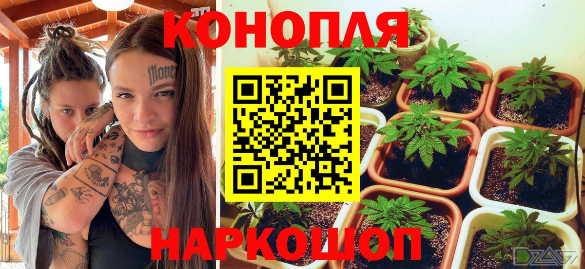 Марихуана тримм  Бошки Шишки AK-47  Вход с VPN  Марихуана ГИДРОПОН  Конопля план  Армавир 